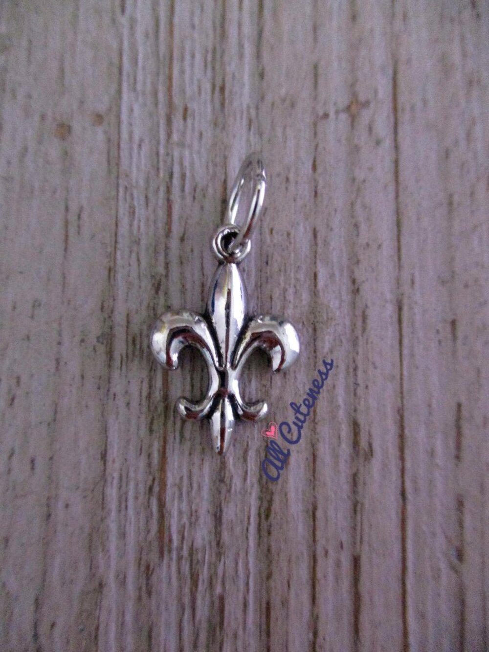 🎀 Fleur de Lis Charm